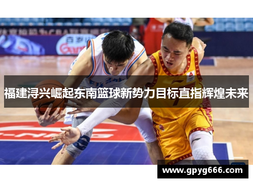 福建浔兴崛起东南篮球新势力目标直指辉煌未来
